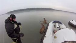 gopro deer hovercraft ice rescue _00002716.jpg