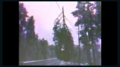 WAGA's coverage of the 1973 storm shows ice-covered trees on power lines;  much of Atlanta was in the dark for a week.