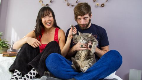 ... just ask this cat.