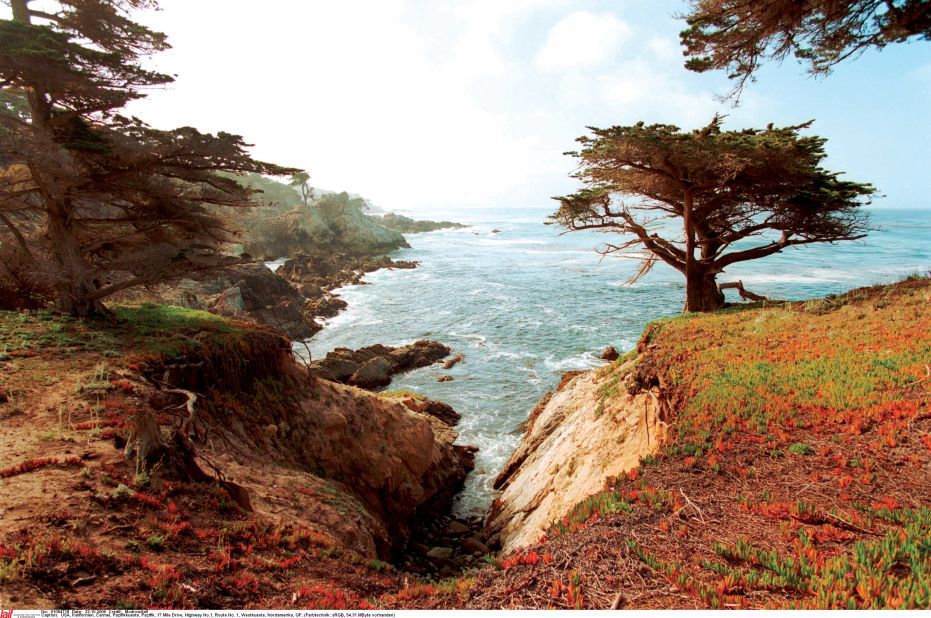 Explore this tiny seaside village, head to nearby wine country or drive to Big Sur to see the glorious Pacific Ocean. 