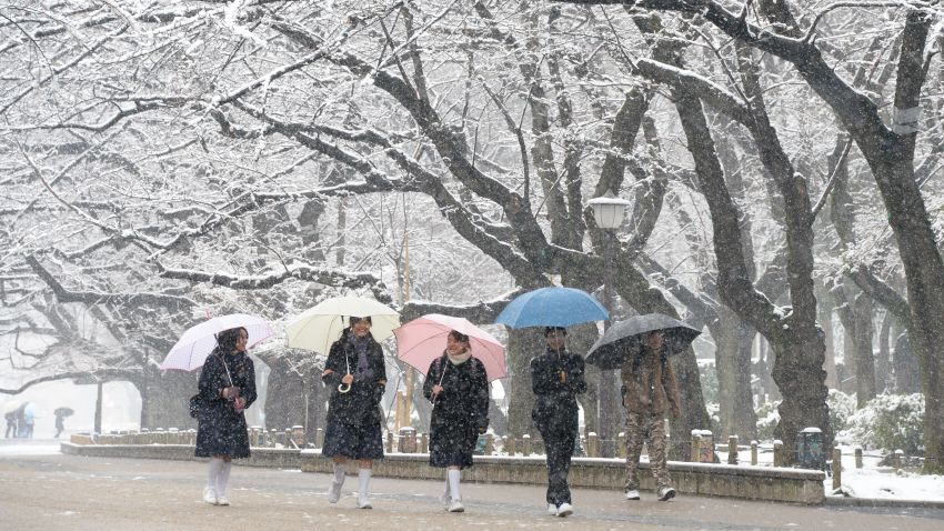 Students walk under snow covered trees at a park in Tokyo on February 14, 2014. 