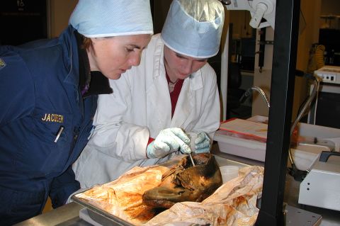 Experts examine a shoe found in the H.L. Hunley.