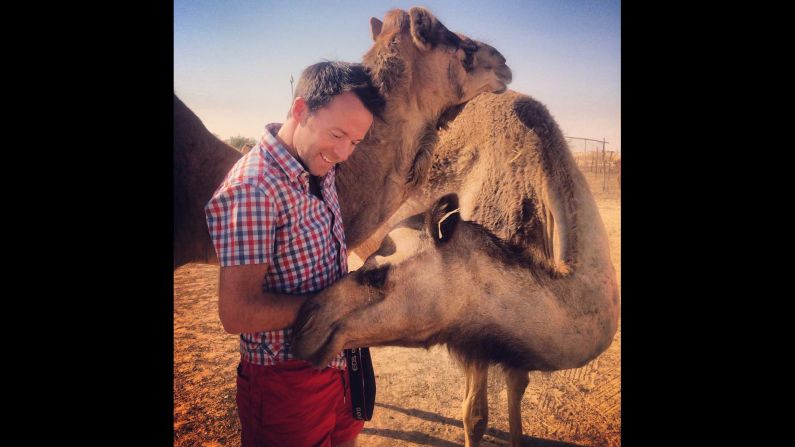 UNITED ARAB EMIRATES: "Even if nobody else loves me, I can take comfort in the fact that camels do." - CNN's Nicol Nicolson <a href="index.php?page=&url=http%3A%2F%2Finstagram.com%2Fnicolnic" target="_blank" target="_blank">@nicolnic</a>. 