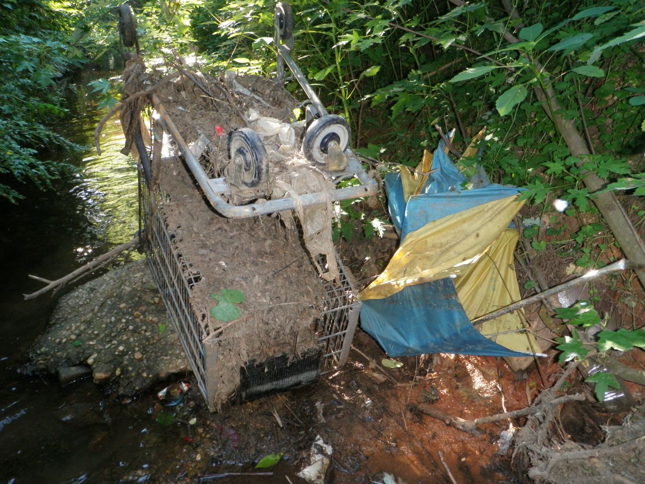 Since 2009, volunteers with the Clean Bread and Cheese Creek organization in Maryland <a href="http://ireport.cnn.com/docs/DOC-1084550">have removed more than 200 shopping carts from the creek</a>, which feeds into the Chesapeake Bay. 