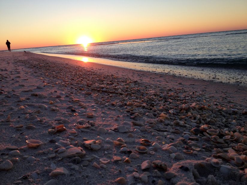<a href="http://ireport.cnn.com/docs/DOC-1082776">Michelle Sweeney</a> says a storm had passed through the day she arrived at Pensacola Beach, Florida, in November, and the sand was covered in seashells. She spent hours finding treasures to add to her collection. 