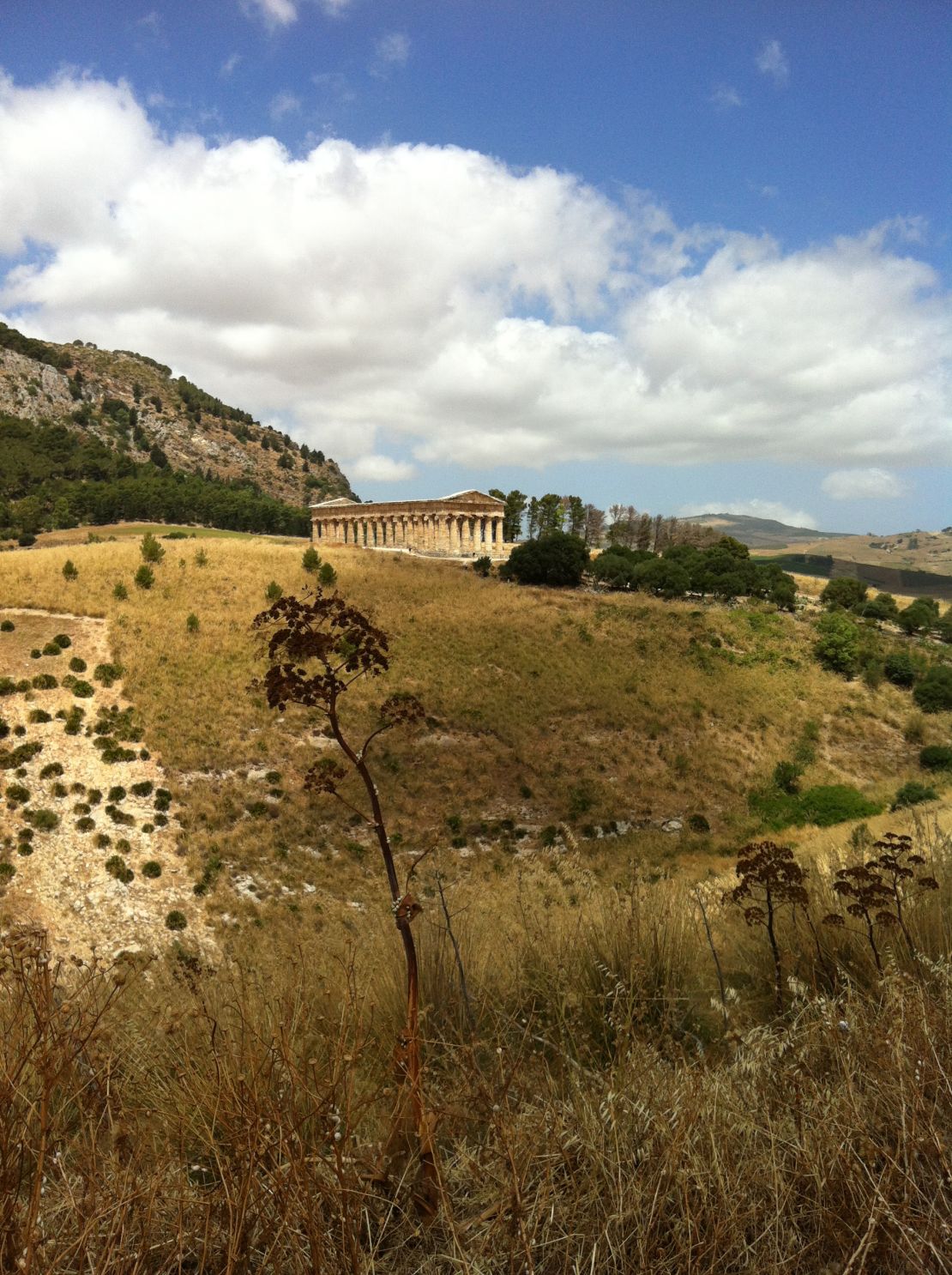 Segesta: Just you and ancient history.