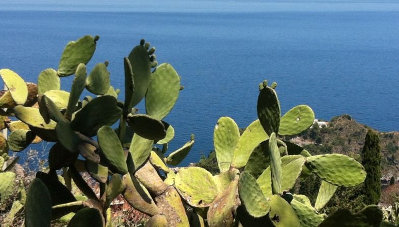 The farthest and wildest of the Aeolian Islands, Alicudi offers a no-frills, zero sound pollution break.