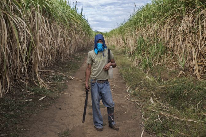 A 29-year-old sugar cane worker who suffers from kidney disease stands in the fields in Chichigalpa.