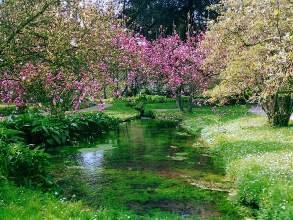Once a malarial swamp, the Ninfa Gardens are now a paradise where the only sound is running water and whirring of wings.