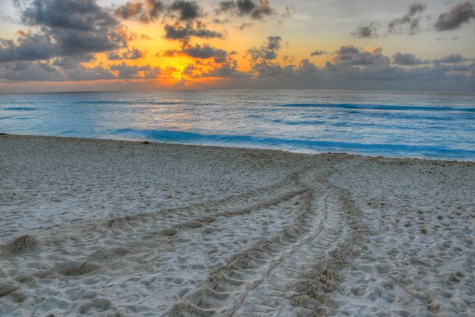 <a href="index.php?page=&url=http%3A%2F%2Fireport.cnn.com%2Fdocs%2FDOC-1078686">Matt Swinden</a> captured turtle tracks in the sand at sunrise on a Cancun beach.
