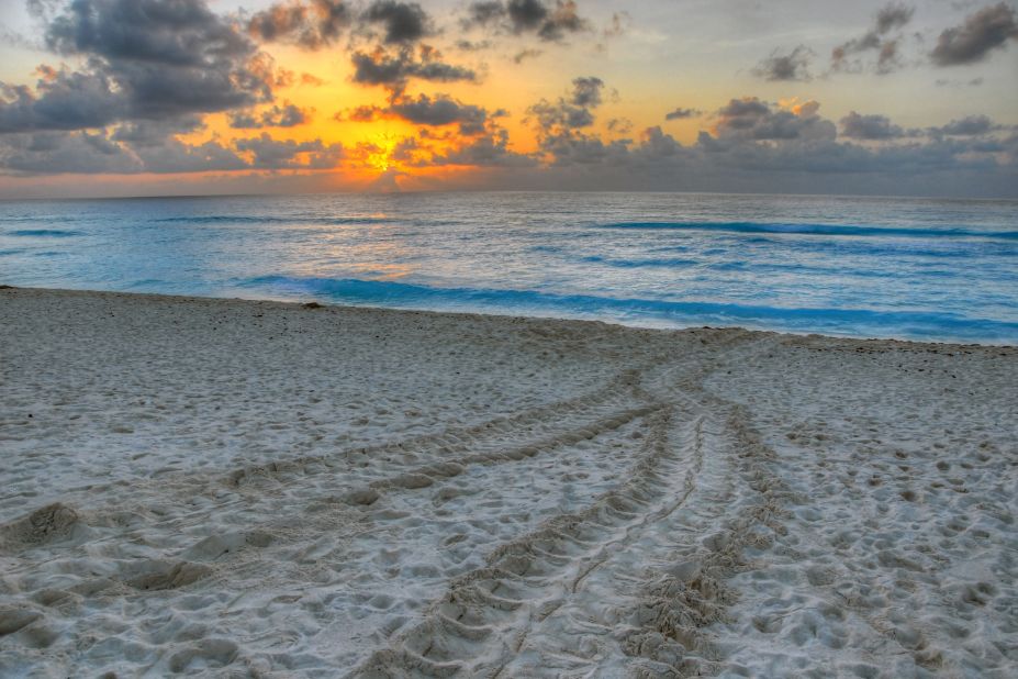 <a href="http://ireport.cnn.com/docs/DOC-1078686">Matt Swinden</a> captured turtle tracks in the sand at sunrise on a Cancun beach.