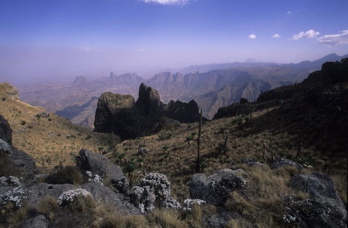 Massive erosion over the years on the Ethiopian plateau has created one of the most spectacular landscapes in the world. The Simien National Park is dotted with jagged mountain peaks, deep valleys and sharp precipices that drop nearly 5,000 feet.