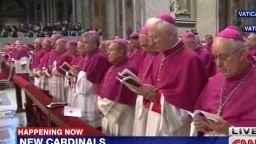 lklv allen pope francis new cardinals_00013017.jpg
