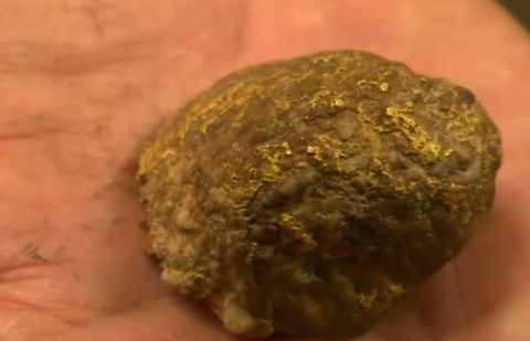 La pareja excavó y finalmente encontró ocho latas de metal, que contenían el tesoro con más de 1.400 monedas de oro.