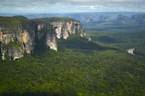 Chiribiquete National Park, recently expanded by the Colombian government, is home to three uncontacted tribes and numerous undocumented medicinal plants.  