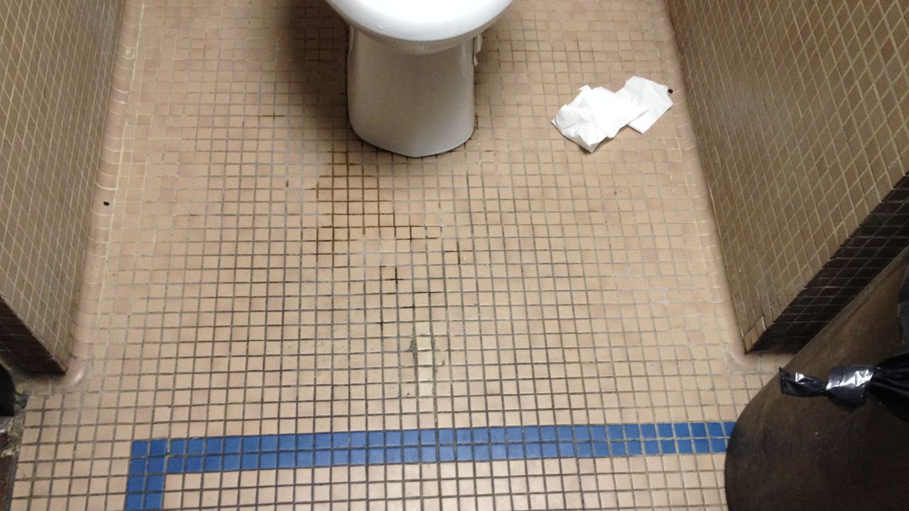 This is the bathroom at a chain restaurant near Grand Central. In here, it's always slightly damp on the floor.