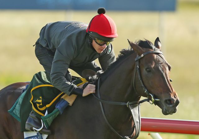 Brown Panther, here ridden by Richards Kingscote, has been one of Owen's most successful horses. In 2011, he won the King George V Stakes at Ascot -- a result which moved his owner to tears.