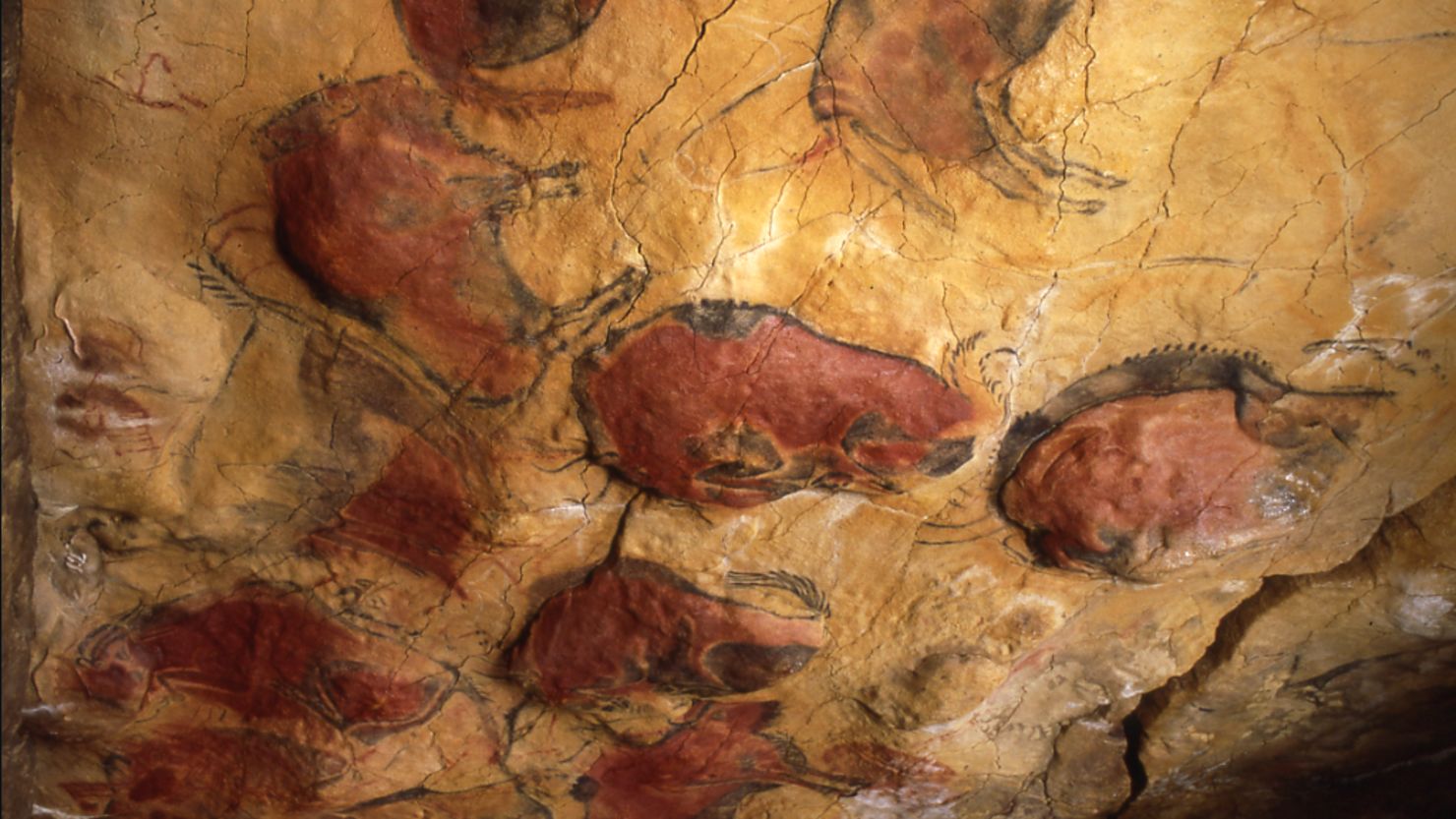 The paleolithic cave paintings of Altamira were at first dismissed as forgeries. 