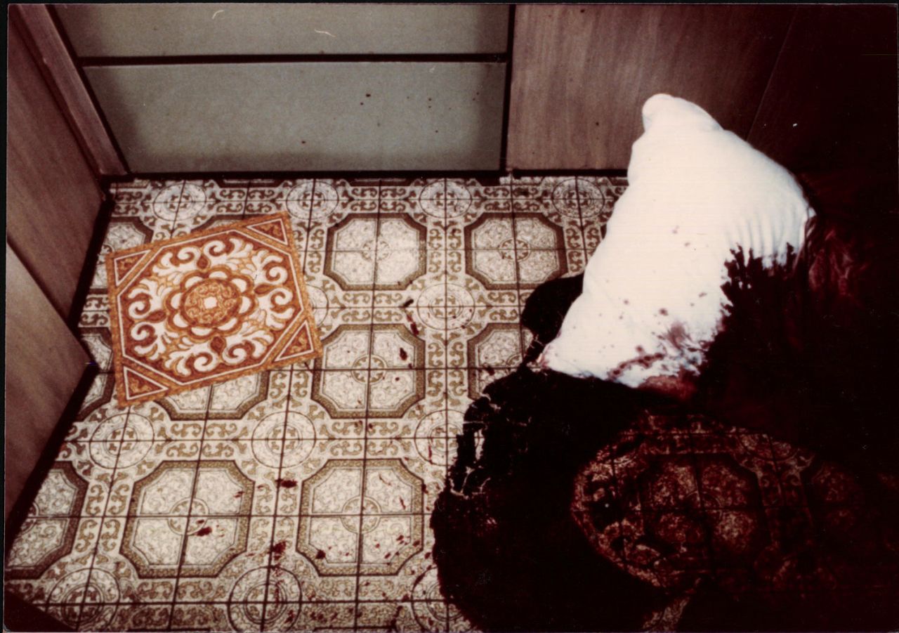 Ed and Grace Davies had been tied up on their kitchen floor with pillows put over their heads before they were shot. 