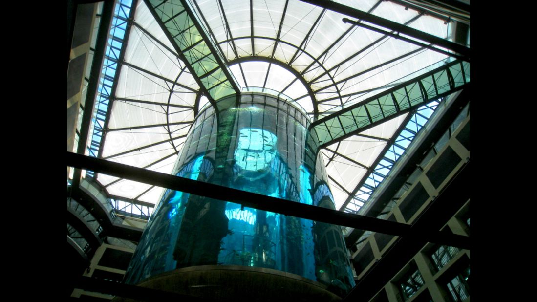 The elevator at the AquaDom in Berlin travels up the middle of the 82-foot tall aquarium.