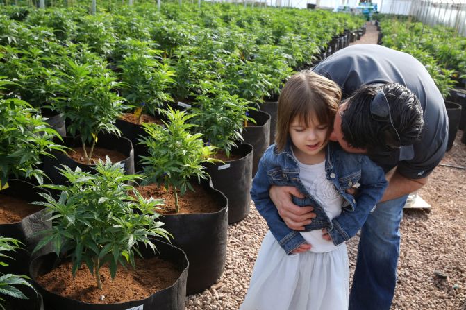 More than 100 families have moved to Colorado to access "Charlotte's Web," a cannabis strain that in some <a href="index.php?page=&url=http%3A%2F%2Fwww.cnn.com%2F2013%2F08%2F07%2Fhealth%2Fcharlotte-child-medical-marijuana%2F">epileptic children seems to dramatically reduce seizures</a>. Taken as an oil, the medicine is high in a chemical called CBD and low in THC, the component that makes people "high." 