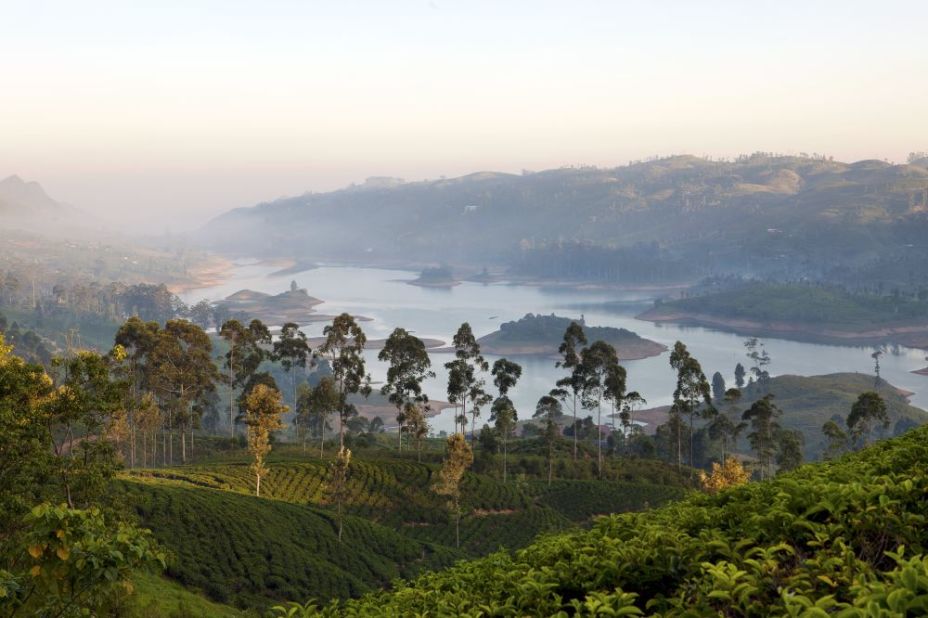 Sri Lanka's tea industry started with one camellia sinesis plant brought from China in 1824 by the British. It has since grown into a $1.5 billion export industry -- the world's second biggest by value. The country's tea plantations offer incredible scenery. Pictured are tea fields 1,300 meters above sea level among the fertile south central Bogawantalawa Valley.