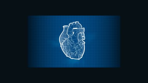 3d printed heart edit