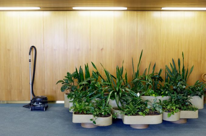 <strong>Plants in your home</strong><br /><br />Mold is a common household allergen. But while most people make sure to clean the bathroom and check the basement, they forget about their indoor plants, Bennett says. Mold can form on leaves or in overwatered soil, releasing mold spores into the air. If you're allergic to mold, inhaling these spores can lead to trouble breathing, coughing and eye/throat irritation. <br /><br />To prevent mold from forming in the first place, keep a thin layer of gravel at the bottom of every potted plant to help with drainage, and place plants in well-ventilated areas.