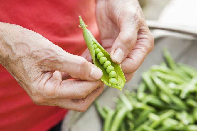 <strong>Nickel... in your food</strong><br /><br />About 15% of Americans are sensitive to nickel. They develop dermatitis when they wear certain jewelry or clothing items. But did you know that nickel in your food can also cause an allergic reaction?<br /><br />Think about it: nickel is a mineral like iron or calcium, which you've seen listed on nutrition labels. It's common in legumes (beans, peas and nuts) and whole grains. Some people with a <a href="index.php?page=&url=http%3A%2F%2Fmedicalcenter.osu.edu%2Fmediaroom%2Freleases%2FPages%2FNickel-Food-Allergies.aspx" target="_blank" target="_blank">nickel allergy</a> may get sick, experience joint pain or feel fatigued after consuming these products over the course of a week or month, Zirwas says. It's not an immediate reaction like other allergies so it can be difficult to diagnose.