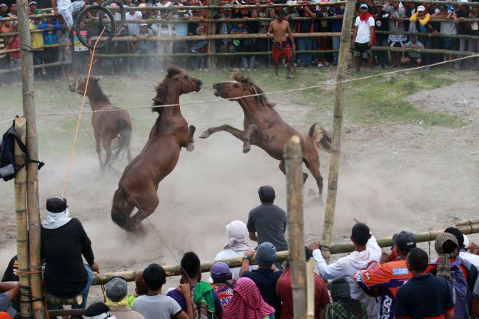 Villagers watch a horse fight during the Seslong festival Monday, March 10, in T'boli, Philippines. Despite a ban against horse fighting in 1998, many communities in the country still celebrate it as a cultural tradition.