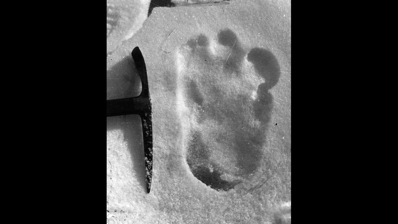 Stories of elusive giant hairy, human-like beasts have been told on several continents for centuries. In the Himalayan Mountains, it is known as the Yeti or the Abominable Snowman. North Americans have reported sightings of Big Foot or Sasquatch. Russians call theirs the Almasty.
