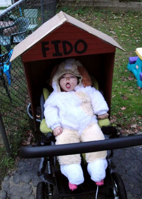 One year, Linzey converted Anabelle's wheelchair into a dog house and put her in a puppy costume for Halloween.