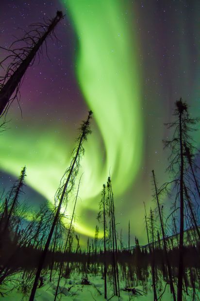 When highly charged particles from the solar wind interact with atoms of oxygen and nitrogen at high altitudes the aurora (northern lights) is born. The spectacle transcends science, luring locals and visitors alike into the bone-chilling northern nights to marvel at the magical displays.