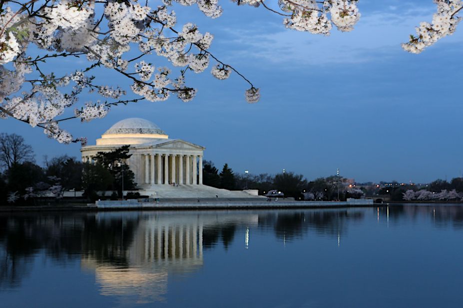 Cherry blossom season makes the city's monuments even more lovely. 