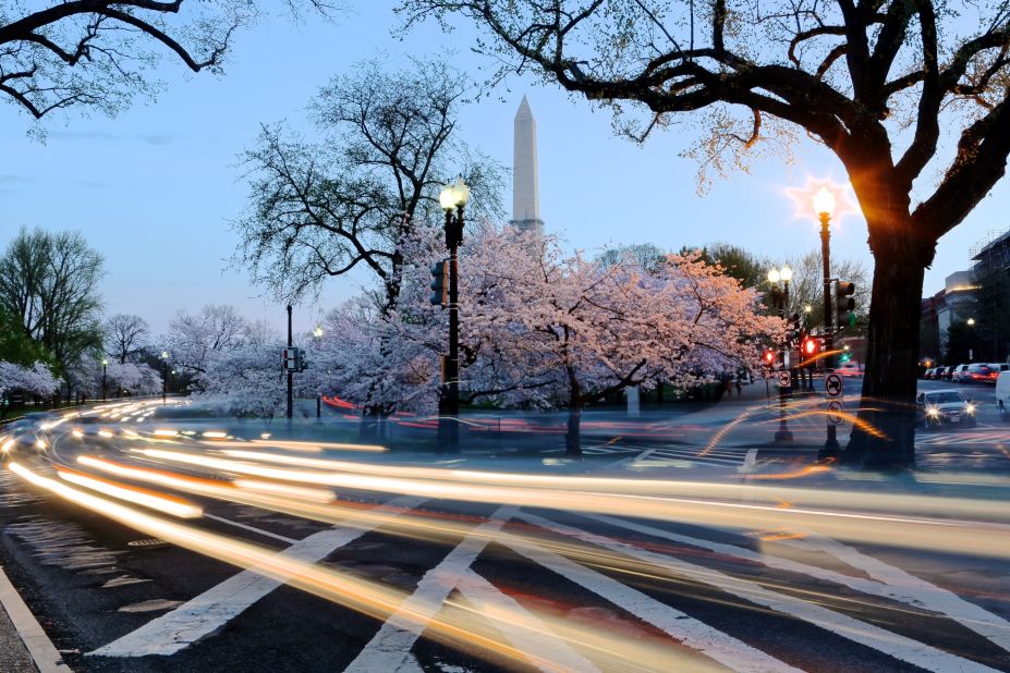 Washington, D.C., peak cherry blossom dates prediction: April 3-6