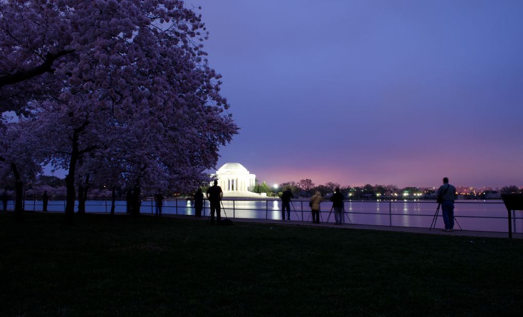 Travelers enjoy the sight of cherry blossoms so much that crowds start gathering at sunrise, which is when <a href="http://ireport.cnn.com/docs/DOC-763864">Ian Dixon</a> captured this photograph in March 2012. "Even at 7 a.m., it was getting tough to find good spots to shoot from due to all the photographers around," he said.