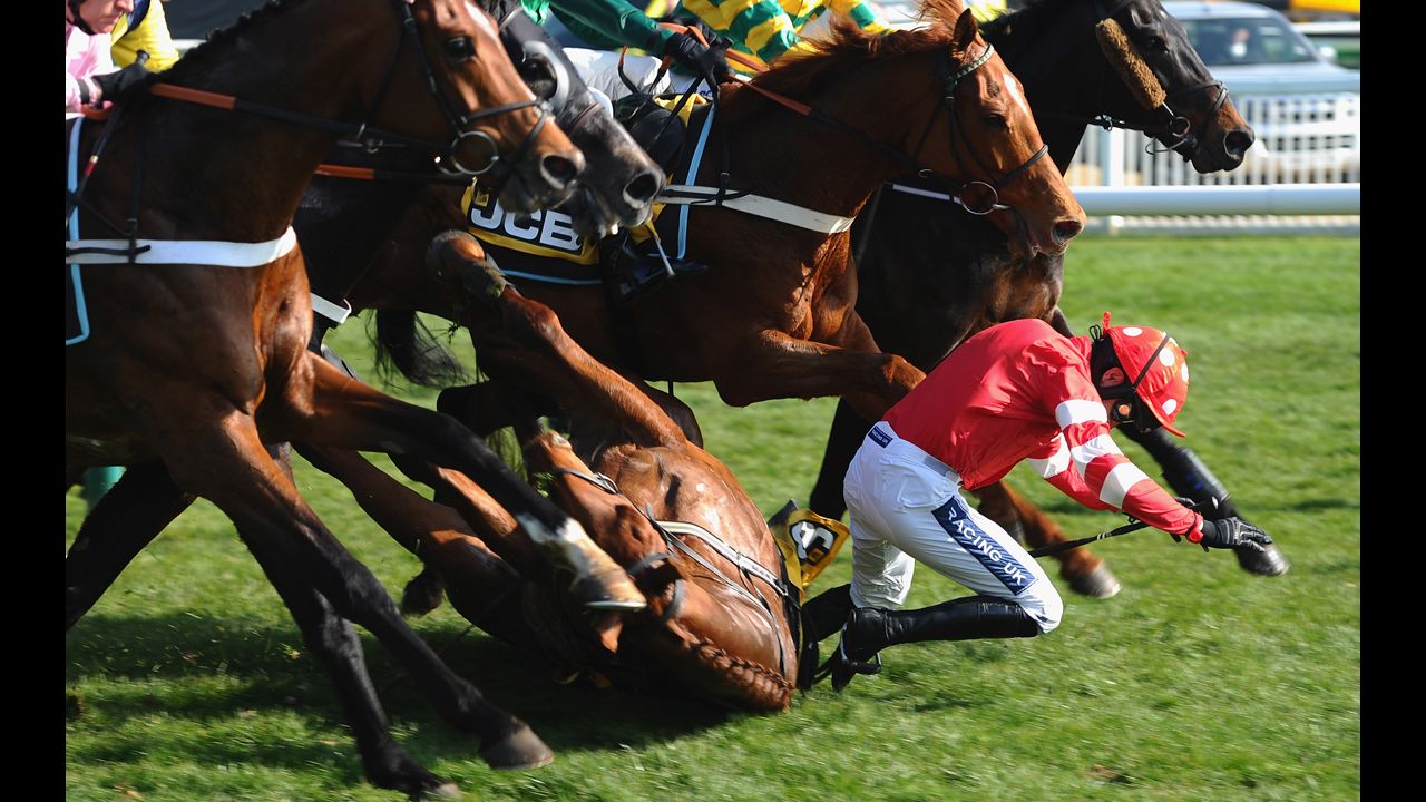 Jockey Ruby Walsh falls with his horse Abbyssial during a race Friday, March 14, at the Cheltenham Festival in Cheltenham, England. Walsh was taken to the hospital for a broken arm.