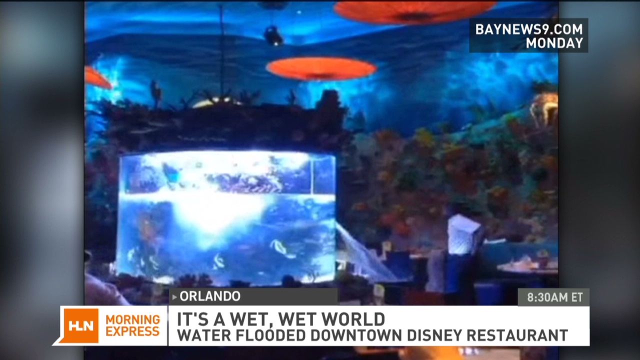 A Giant Aquarium Burst Open At A Dinosaur-Themed Disney Restaurant