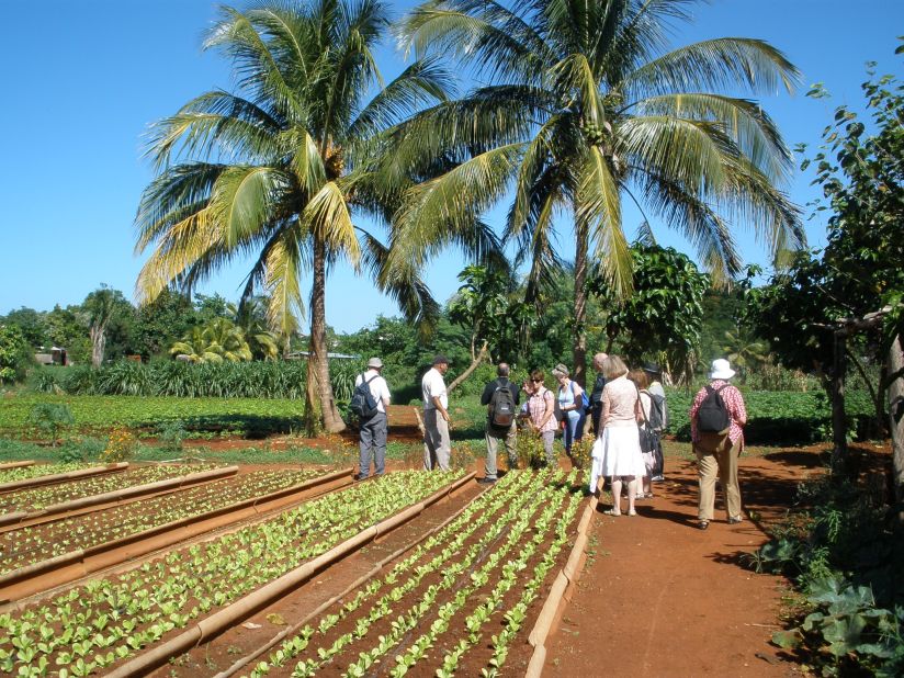 You could find yourself taking in a traditional hog roast with a Cuban farming family, touring the orchards of fruit farmers in Ciego de Avila or chatting with workers at the sharp end of the Cuban economy.