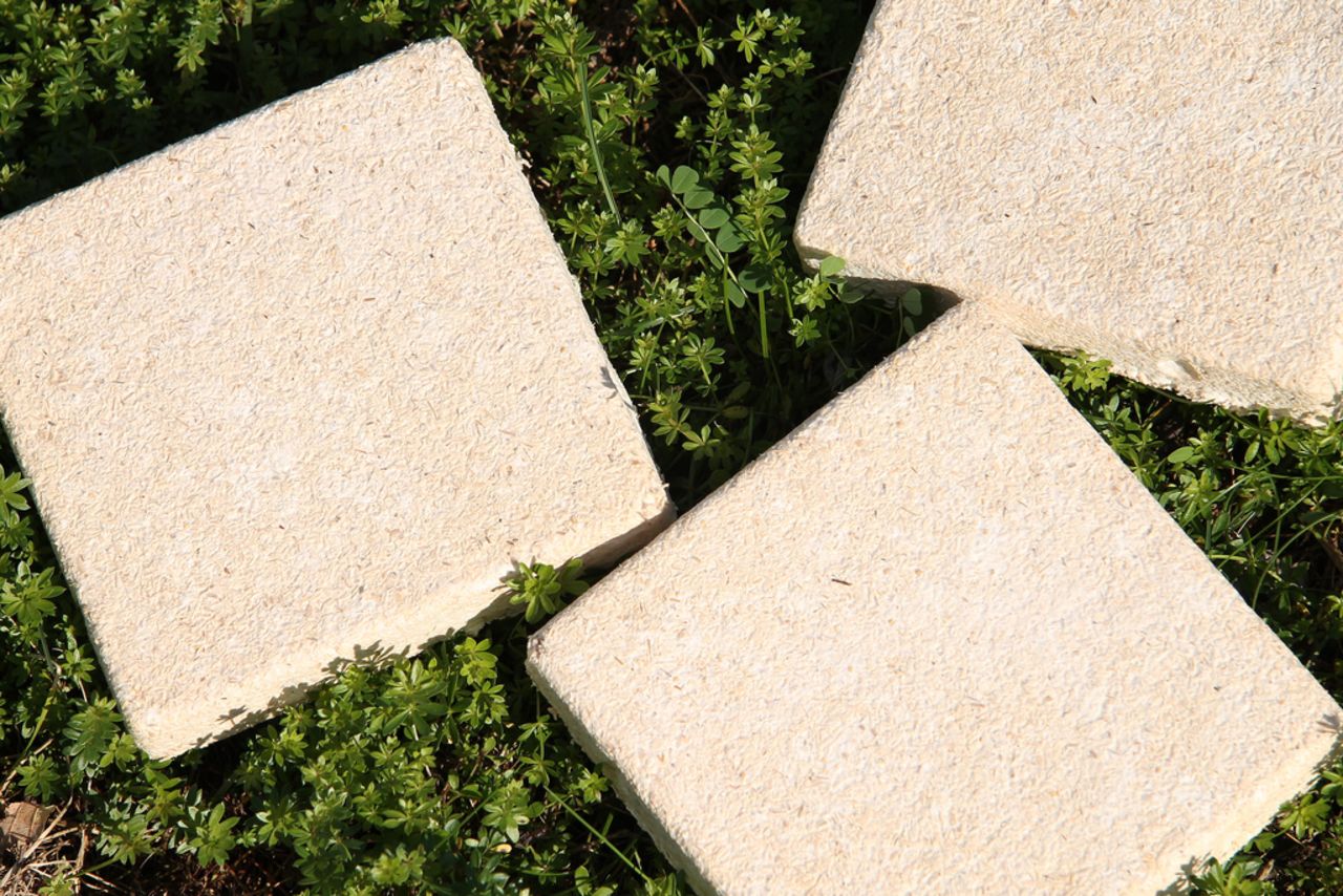 <a href="http://www.ecovativedesign.com/" target="_blank" target="_blank"><strong>Ecovative</strong></a><strong> </strong>already make packaging from agricultural waste and mushroom "mycelium" -- and their next project is building materials. Founder Eben Bayer describes mycelium as "essentially the 'roots' of mushrooms" and says it is very good at binding together organic materials, which could one day make building blocks.
