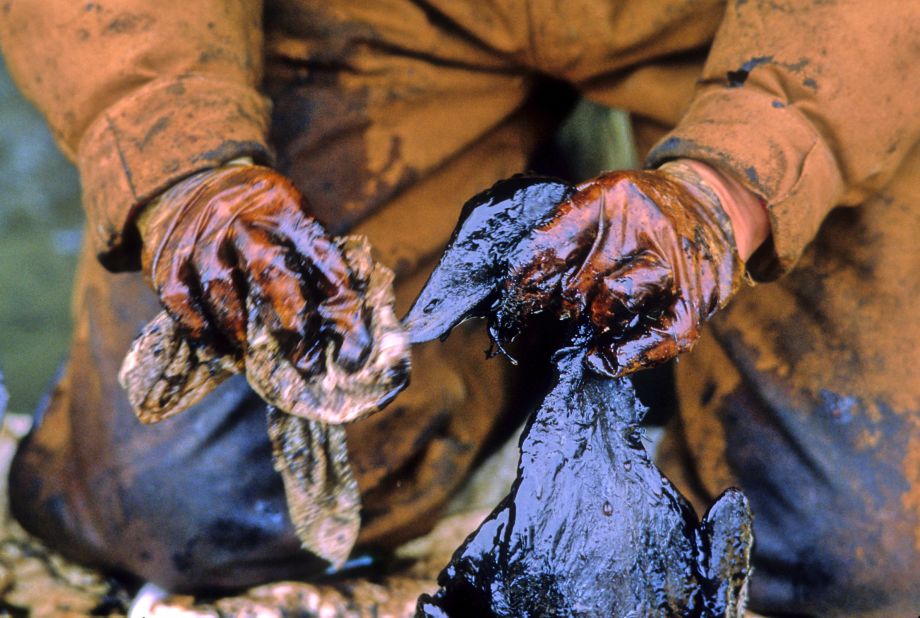 An Exxon Valdez oil spill worker recovers and cleans a bird covered in crude oil. At least 1,000 ducks and 250,000 seabirds were killed by Exxon Valdez crude oil, according to studies. 