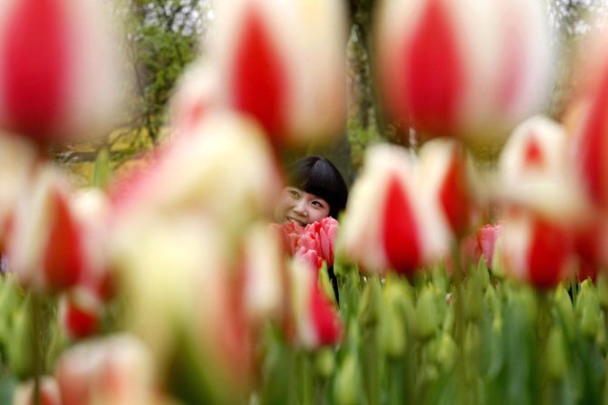 The ninth happiest country is the <strong>Netherlands</strong>, where you can enjoy the flowers at the <a href="http://www.keukenhof.nl/en/" target="_blank" target="_blank">Keukenhof gardens</a>. You'll find long fields of tulips throughout the region. People in Netherlands can enjoy better than average quality of life in many of the key indicators, such as work-life balance, housing or health status. However, the country ranks below average in environmental quality. And according to the OECD, the percentage of Dutch people reporting that they trust the government fell from 66% to 54% between 2007 and 2013.