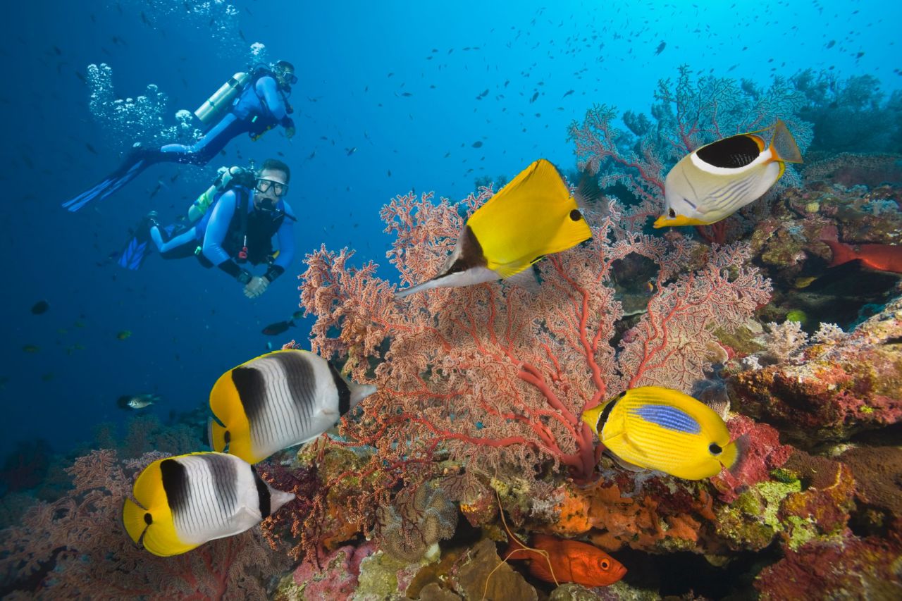 A trip to <strong>Australia</strong>, the 10th-happiest country, wouldn't be complete without visiting the <a href="http://www.australia.com/explore/icons/great-barrier-reef.aspx" target="_blank" target="_blank">Great Barrier Reef</a>. It's one of the seven natural wonders of the world.