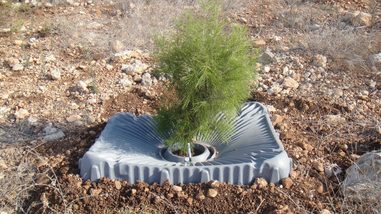 This lightweight square funnels rain water to the base of a tree while blocking sunlight, which kills weeds.