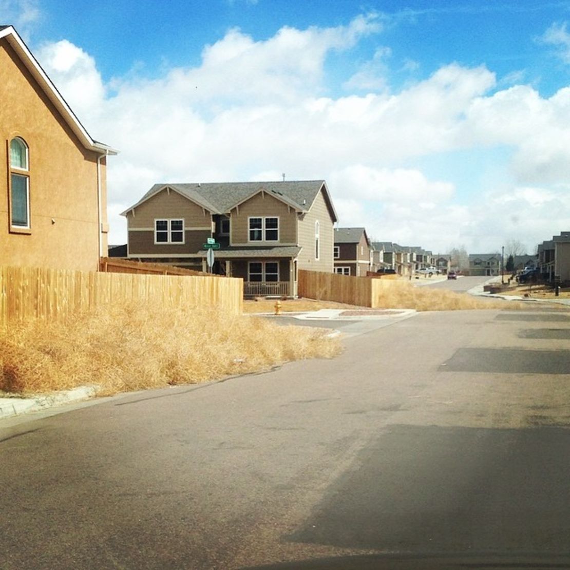 Whitey Grant's neighborhood is littered with tumbleweeds