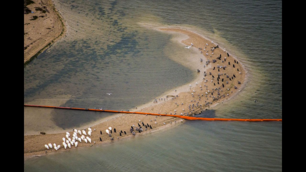 Oil booms cut across a sand bar on Galveston's Pelican Island on March 23.