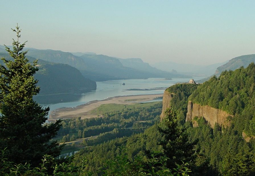 Starting in March, you can see Columbia kittentails and other wildflowers along the Historic Columbia River Highway in Oregon.