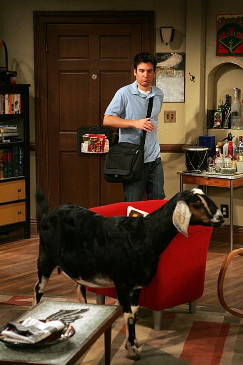 One day, Ted walked into his apartment and found a goat. The explanation of this was held for several episodes, until we learned that Lily rescued the goat from a farmer in her classroom.