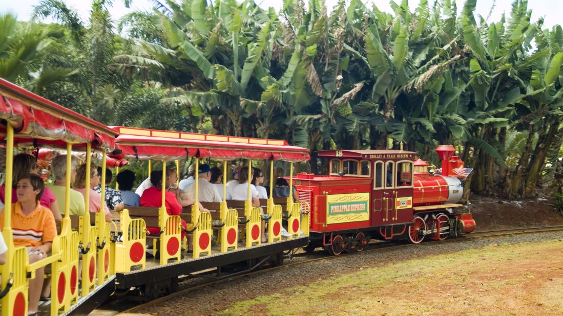 Pineapple Express train rides are available at the <a href="http://www.dole-plantation.com" target="_blank" target="_blank">Dole Plantation </a>in Wahiawa, on Oahu.