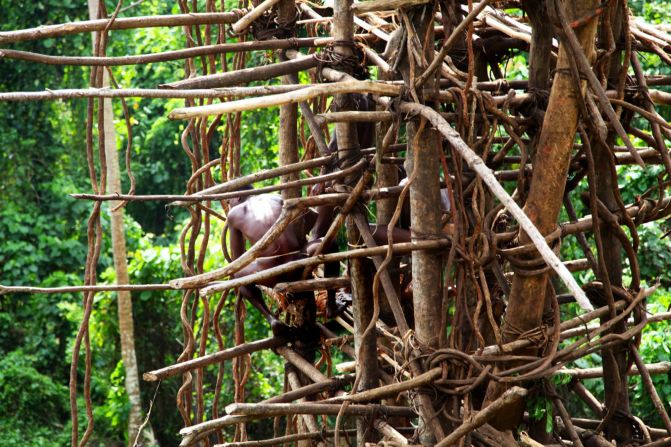 Held together by vines without a single nail or screw, each tower takes 30 men up to a month to build.